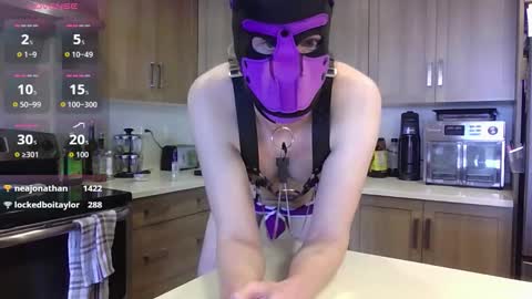 Snapshot of boiwonder420 chatting on 12, 3, 2026 BoiWonder420 online show from 12, 3, 2026