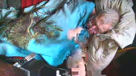 Bomber59potsdam online show from 5, 1, 2025