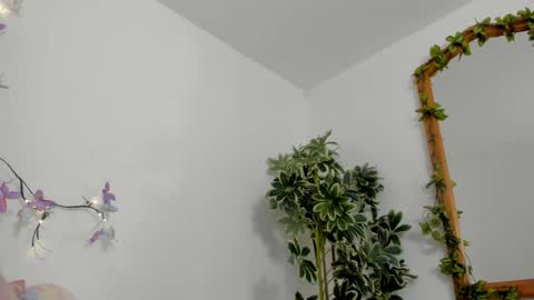   online show from 12, 10, 2025