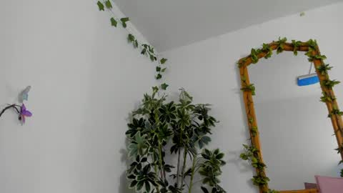 Snapshot of bonniecute_ chatting on 11, 7, 2026 online show from 11, 7, 2026