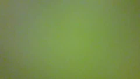 bonniediamond online show from 30, 10, 2025