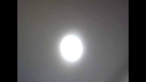 bonop1 online show from 2, 4, 2026