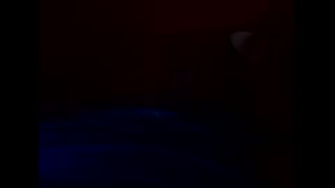 bonzoband online show from 23, 3, 2026