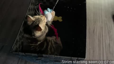 Booker Baxton online show from 3, 1, 2025