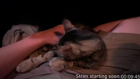 Booker Baxton online show from 28, 9, 2025