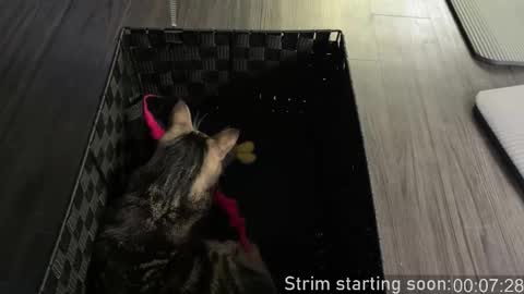 Booker Baxton online show from 26, 10, 2025