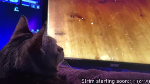 Booker Baxton online show from 16, 11, 2025