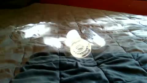 Bootsy online show from 22, 9, 2025