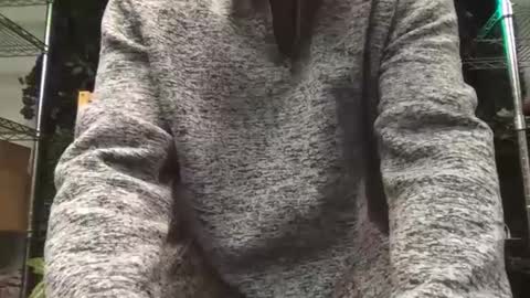 boredplantdaddy online show from 17, 12, 2024