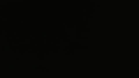 bossram160 online show from 5, 2, 2025