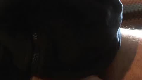 bossram160 online show from 6, 3, 2025