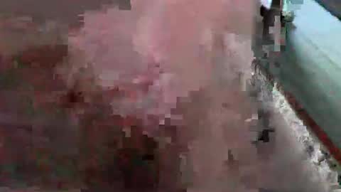 bossram160 online show from 26, 10, 2025