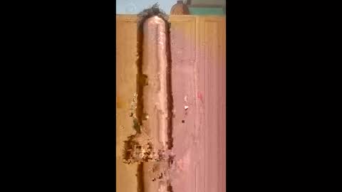 bossusaround online show from 9, 2, 2026