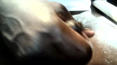 botofogo online show from 19, 1, 2026