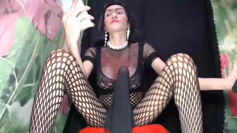 A M A N D A  MONSTERCOCK online show from 2, 10, 2025