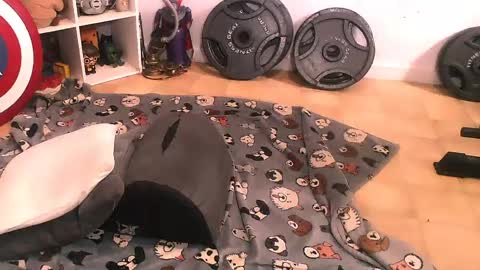 Snapshot of bouncinbooty chatting on 11, 4, 2026 Pumpkin Butt online show from 11, 4, 2026