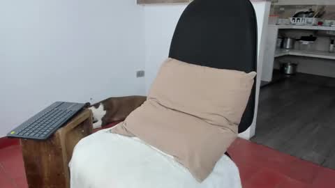 boy_jerry online show from 3, 12, 2024