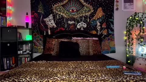 Puddin online show from 16, 12, 2024