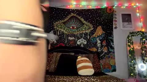 Puddin online show from 10, 2, 2025