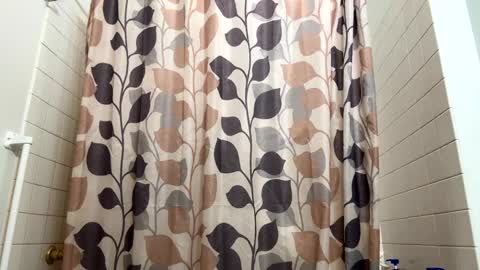 boysetsfire34 online show from 21, 2, 2025