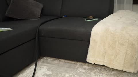 Brandi online show from 11, 12, 2024