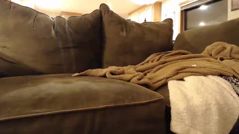 brandondot online show from 3, 2, 2025