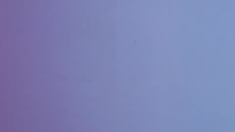 Brandy online show from 20, 12, 2025