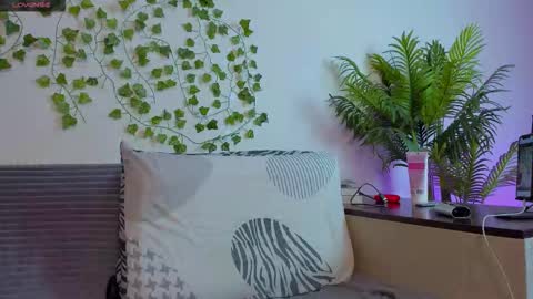 Johny Bravo online show from 19, 10, 2025