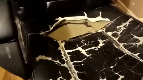 Snapshot of brian0169 chatting on 14, 12, 2025 BB online show from 14, 12, 2025