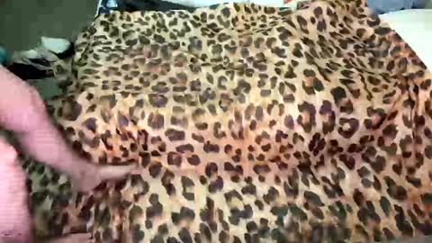 Breezy Xo online show from 27, 11, 2025