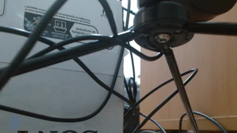 brigittebia777 online show from 10, 10, 2025