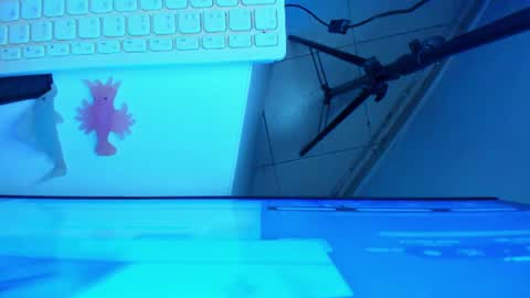 Snapshot of britanny_jones1 chatting on 17, 7, 2026 B R I T A N N Y online show from 17, 7, 2026