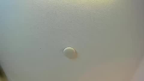 Brittany  online show from 8, 1, 2026