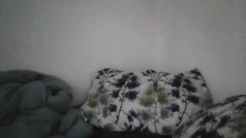 Snapshot of bruc12168 chatting on 20, 6, 2026 Bruc12168 fit slim new makemecum bigdick edging online show from 20, 6, 2026