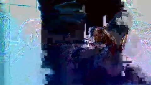 Snapshot of bruno5629 chatting on 27, 11, 2025 bruno5629 online show from 27, 11, 2025