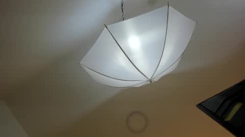 bryannamiller online show from 11, 11, 2025