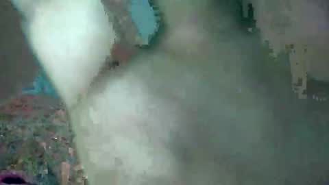 bubbabobo online show from 10, 2, 2026