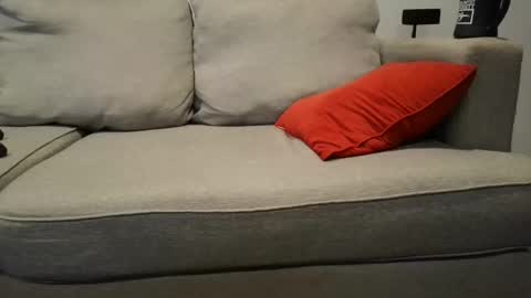 Snapshot of buck_camstar chatting on 23, 9, 2025 Buck online show from 23, 9, 2025