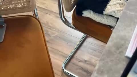 bucky58 online show from 16, 2, 2026