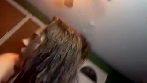 Yourtrippyhippy online show from 28, 11, 2025