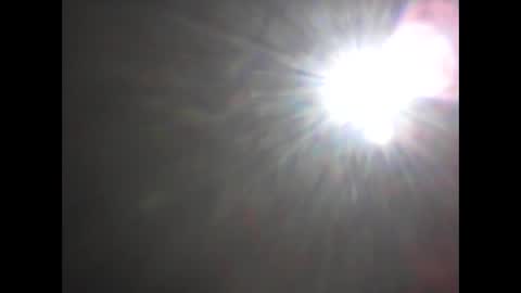 Snapshot of builttotemp chatting on 3, 11, 2025 builttotemp online show from 3, 11, 2025