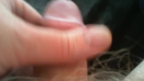 bullemoe online show from 26, 4, 2026