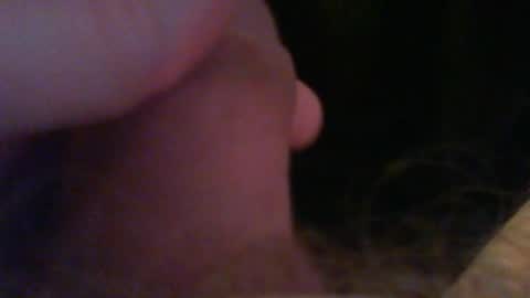 bullemoe online show from 26, 4, 2026