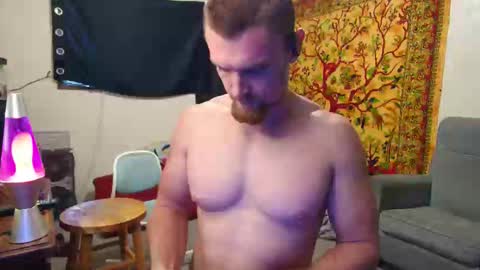 Shane online show from 17, 11, 2025