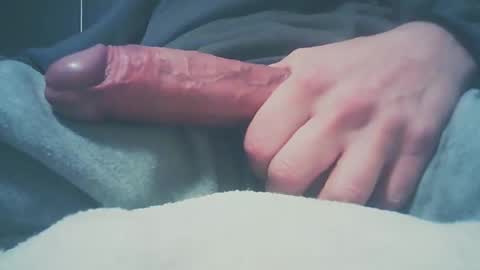 Dutch cock online show from 27, 12, 2024