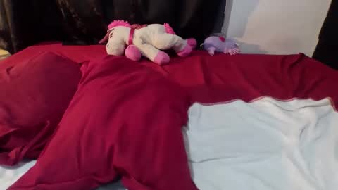 Dylan online show from 20, 2, 2026