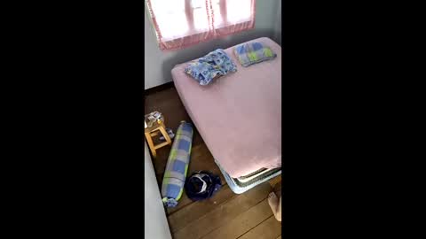 butzi online show from 17, 1, 2026