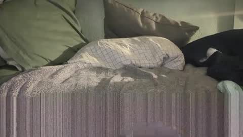 Snapshot of c4tf1sh chatting on 14, 1, 2026 1DontR3member online show from 14, 1, 2026