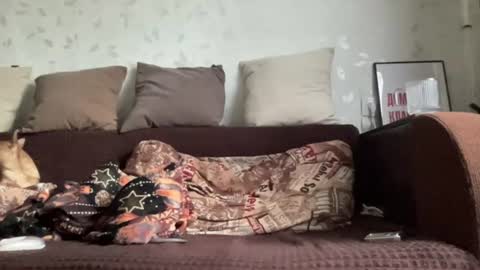 Snapshot of call_me_dad_ chatting on 27, 6, 2026 Anna online show from 27, 6, 2026