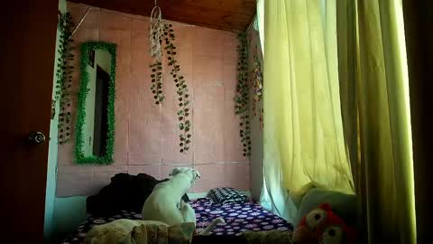 paula online show from 25, 3, 2026